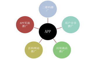 app开发 百科